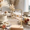 Créoles coquillage mariage sur faire-part et fleurs séchées Créoles coquillage mariage sur faire-part et fleurs séchées